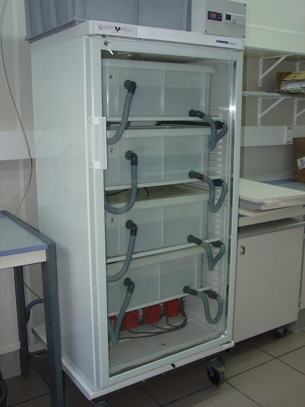 Criadero de Anfibios